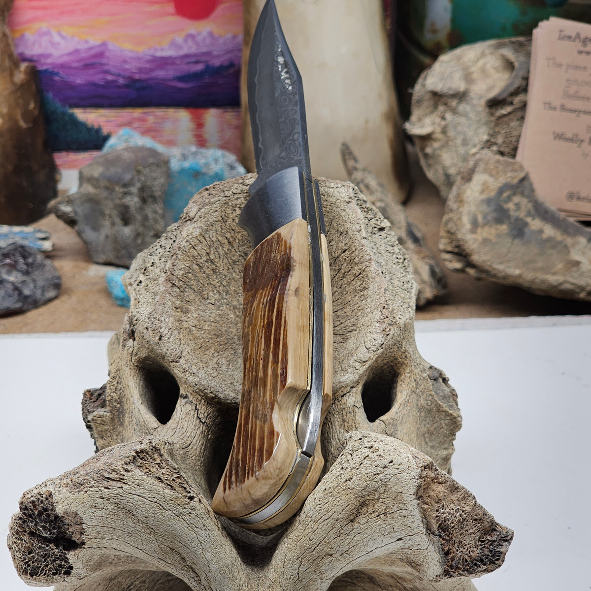 Woolly Mammoth Fossil Ivory Damascus Lock Blade Pocket Knife