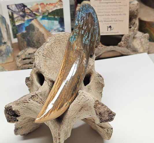 Woolly Mammoth Fossil Ivory Desk Piece — Executive's Point | Ice Age Treasures