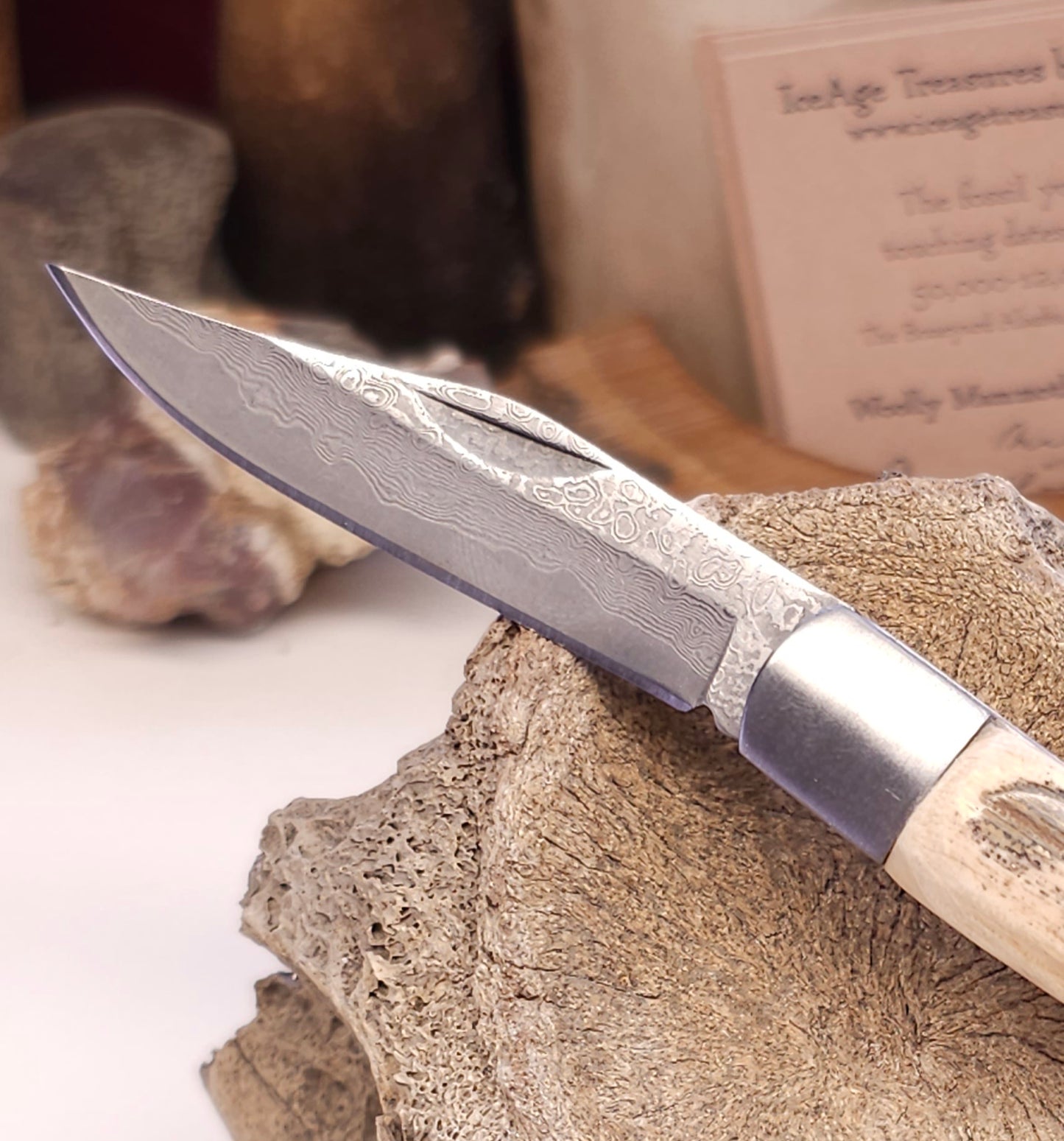 Boneyard Alaska Woolly Mammoth Ivory - Texas Toothpick with Damascus