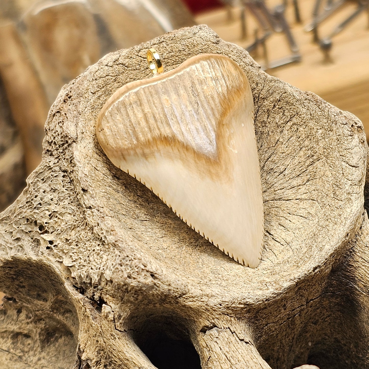 Woolly Mammoth Ivory Shark Tooth Pendant