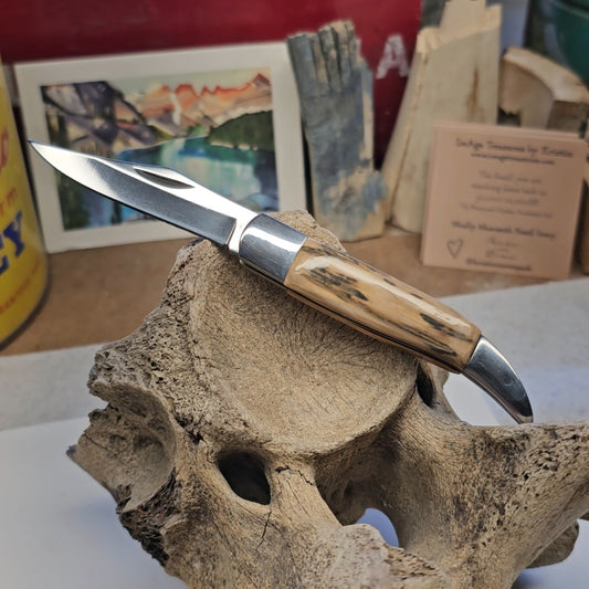 Boneyard Alaska Woolly Mammoth Grip "Texas Toothpick" Collectible