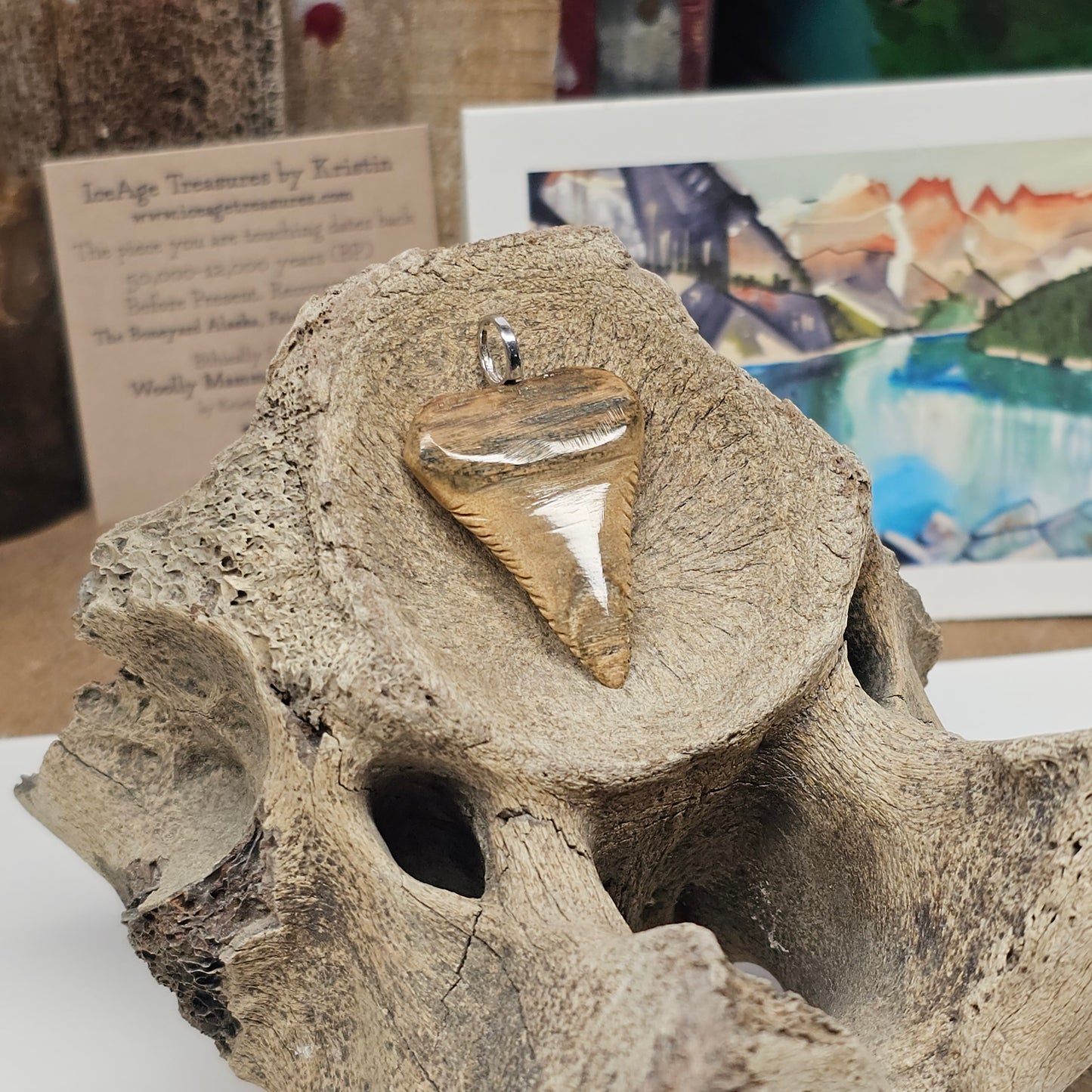 Boneyard Alaska Woolly Mammoth Ivory - Shark Tooth Pendant