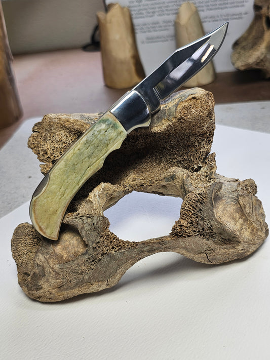 Sea Cow Manatee Fossil Rib Bone Grip Locking Pocket Knife