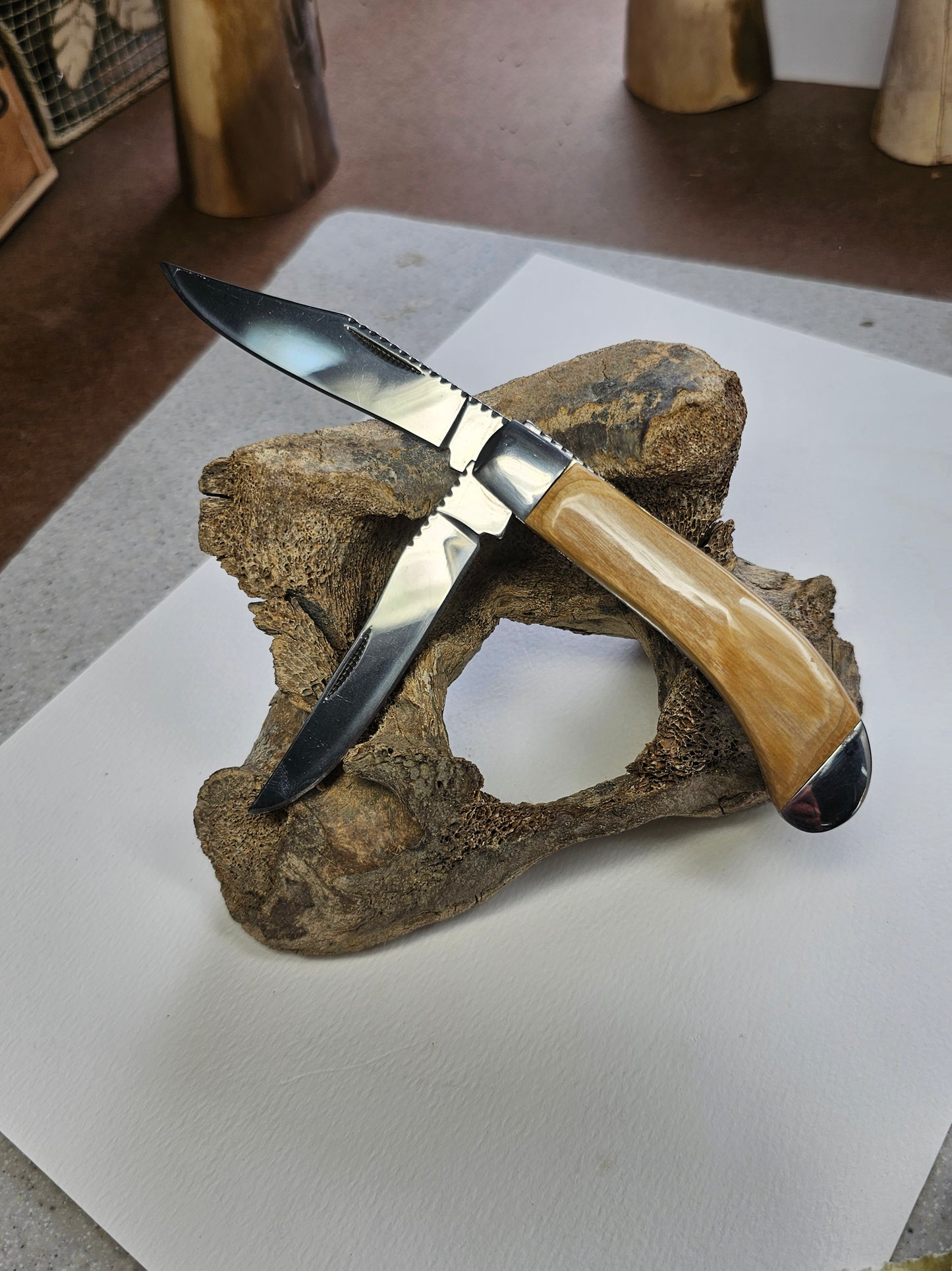 Woolly Mammoth Ivory Grip TRAPPER Pocket Knife-Dual Blade