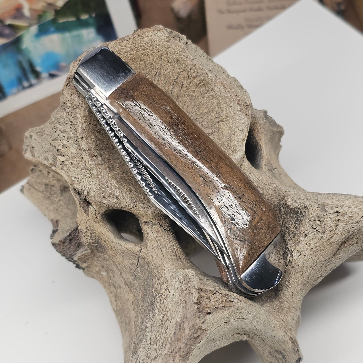Boneyard Megafauna Bone Grip TRAPPER Pocket Knife