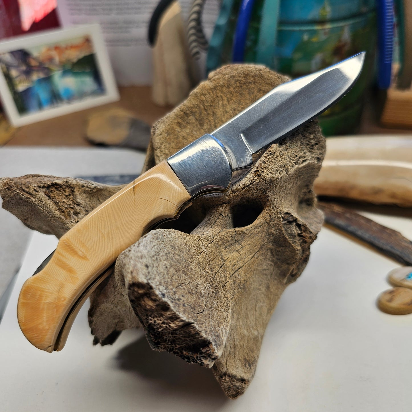 Woolly Mammoth Ivory Grip Lock Blade Pocket Knife