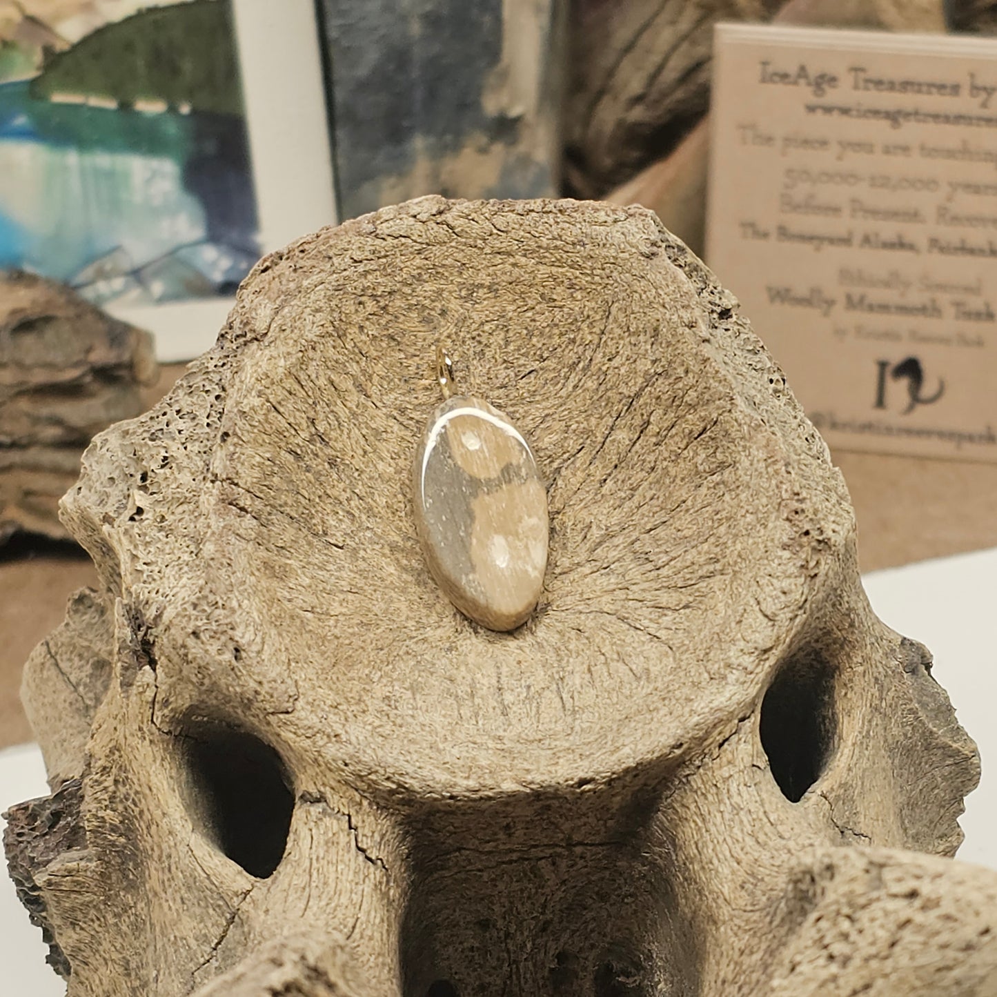 Boneyard Alaska Woolly Mammoth Ivory "Charming" Pendant | Ice Age Treasures