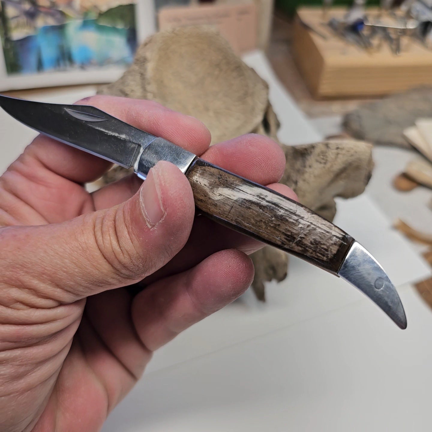 Boneyard Alaska Woolly Mammoth Grip "Texas Toothpick" Collectible