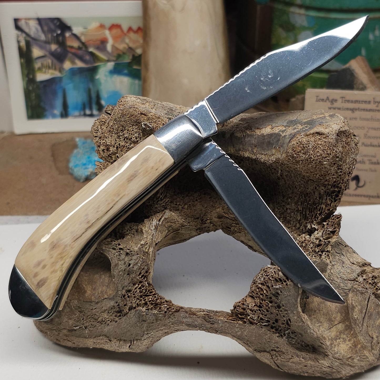 Boneyard Alaska Woolly Mammoth Ivory Grip "TRAPPER" Pocket Knife