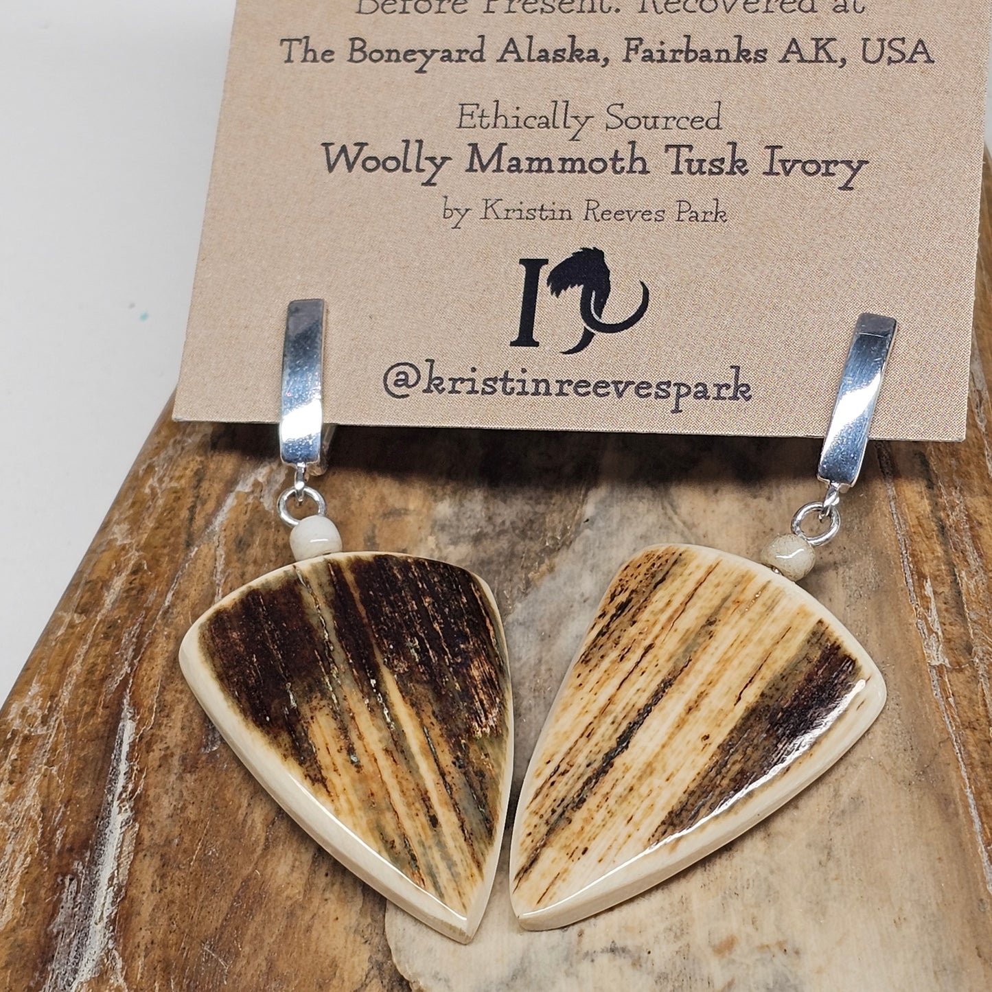 Woolly Mammoth Fossil Ivory Dangle Earrings | Ice Age Treasures