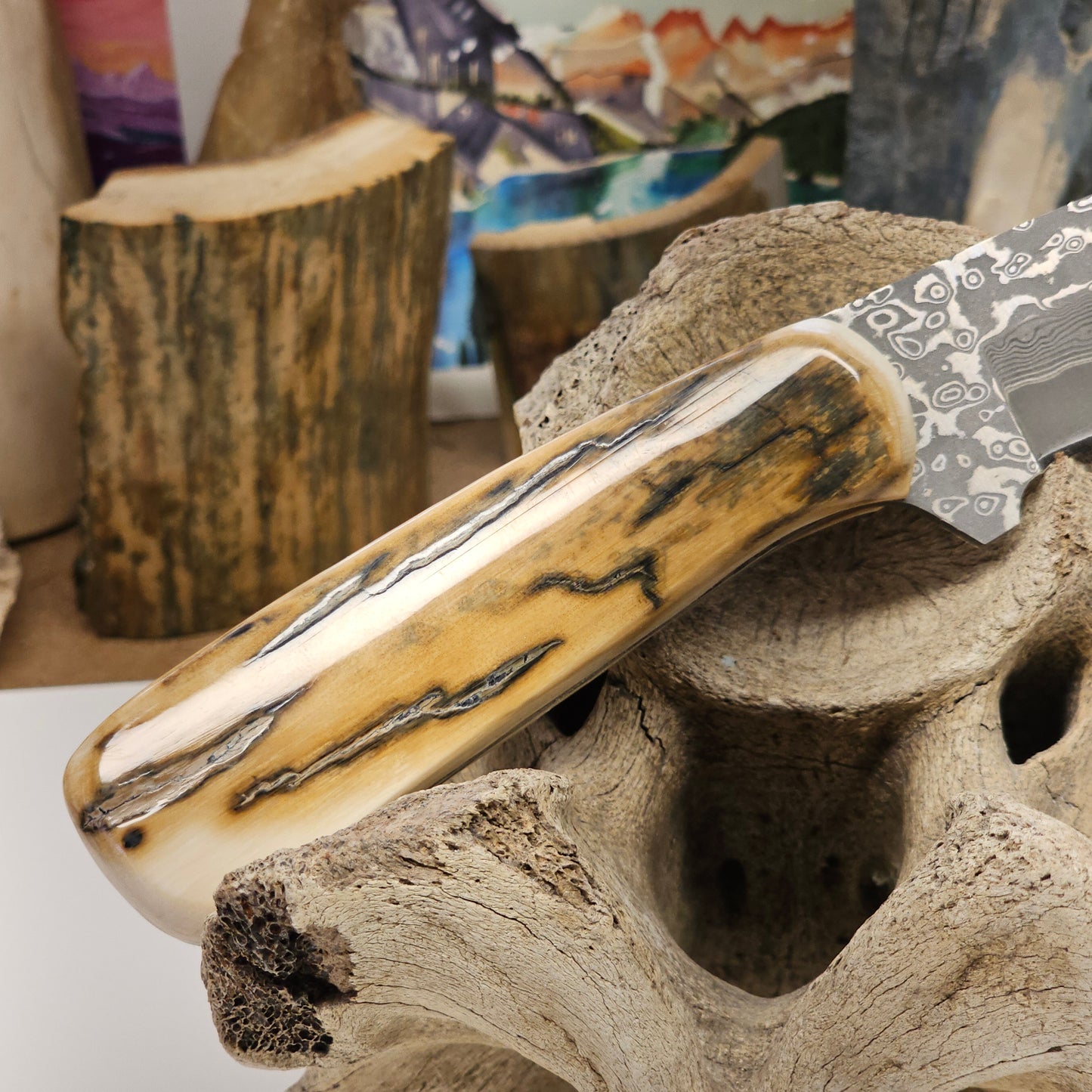 Boneyard Alaska Mammoth Ivory Grip Fixed Blade San Mai Damascus