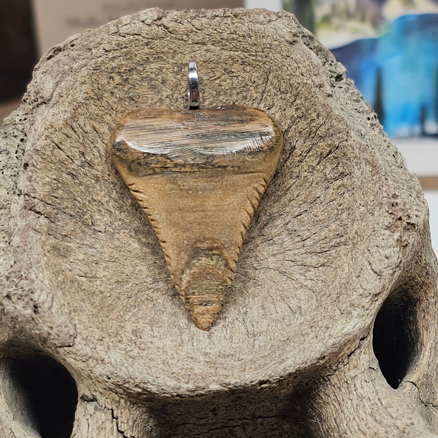 Boneyard Alaska Woolly Mammoth Ivory - Shark Tooth Pendant