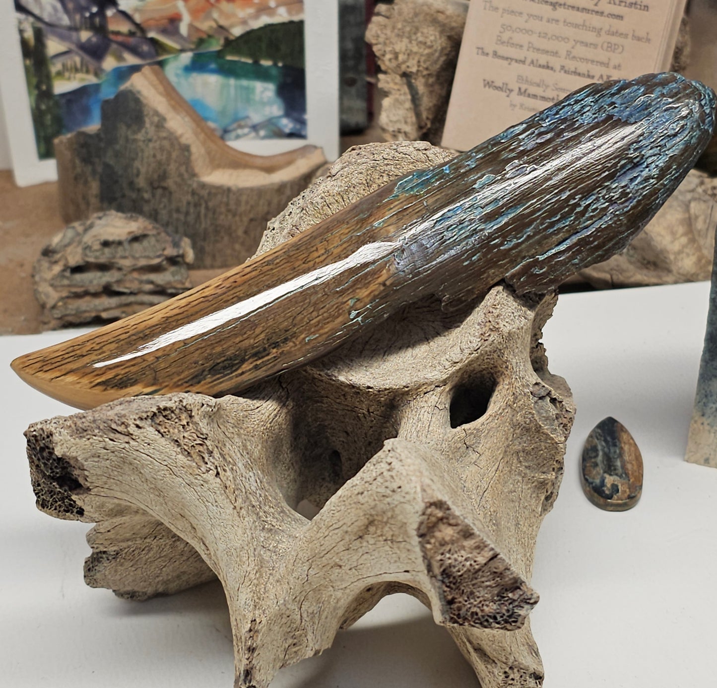 Woolly Mammoth Fossil Ivory Desk Piece — Executive's Point | Ice Age Treasures