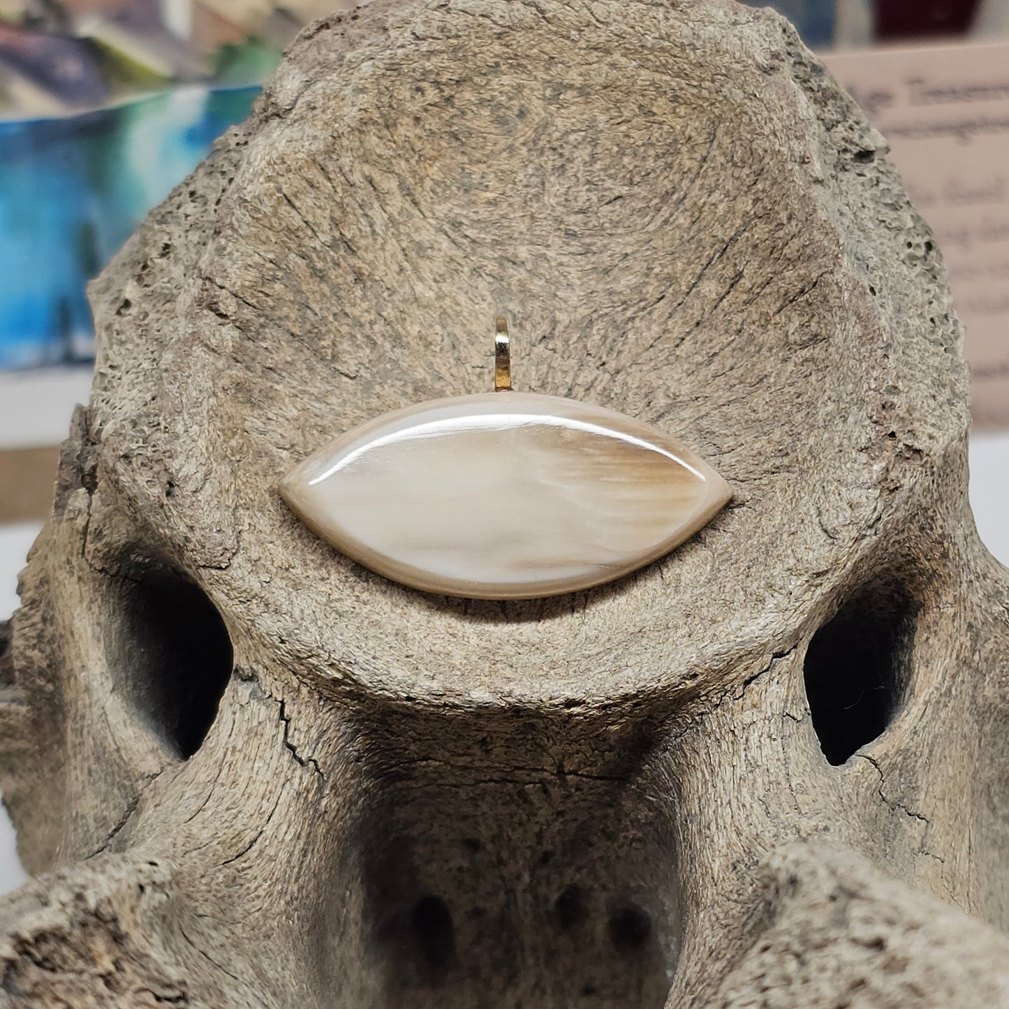 Boneyard Alaska Woolly Mammoth Ivory - Marquis Cut Pendant