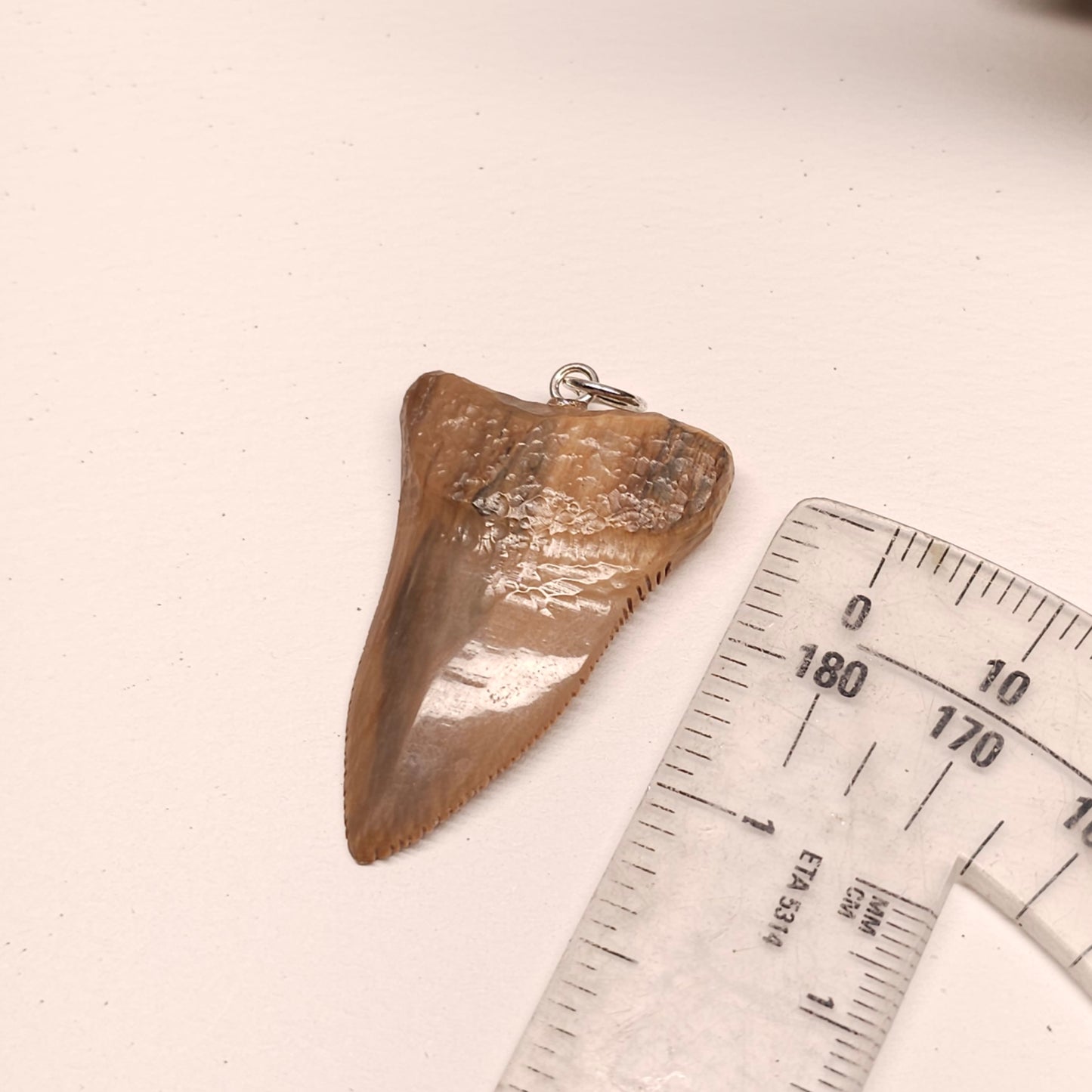 Woolly Mammoth Ivory Shark Tooth Pendant
