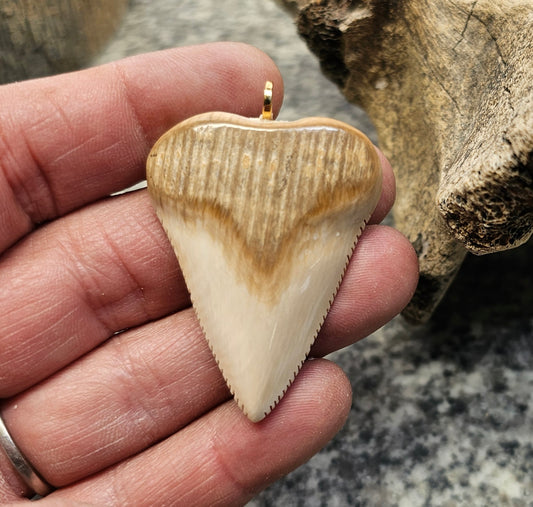 Woolly Mammoth Ivory Shark Tooth Pendant