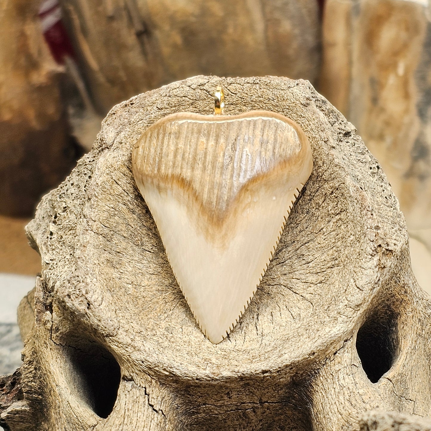 Woolly Mammoth Ivory Shark Tooth Pendant