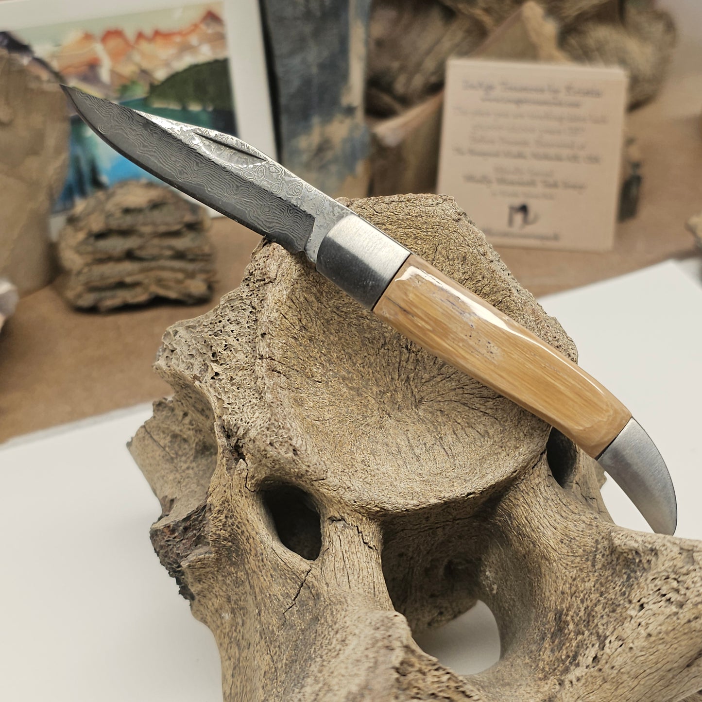 Boneyard Woolly Mammoth Ivory Grip Texas Toothpick Pocket Knife-Damascus