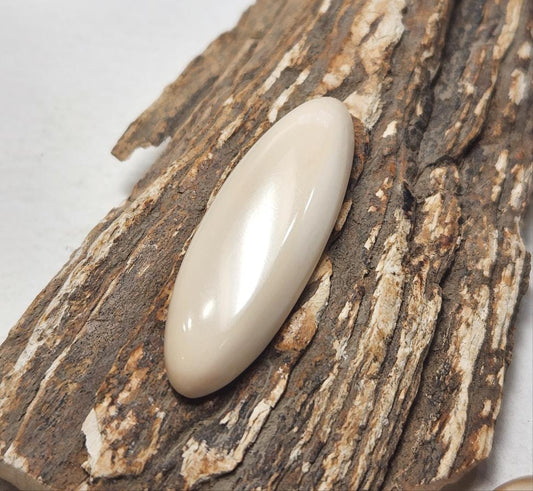Woolly Mammoth Fossil Ivory Cabachon
