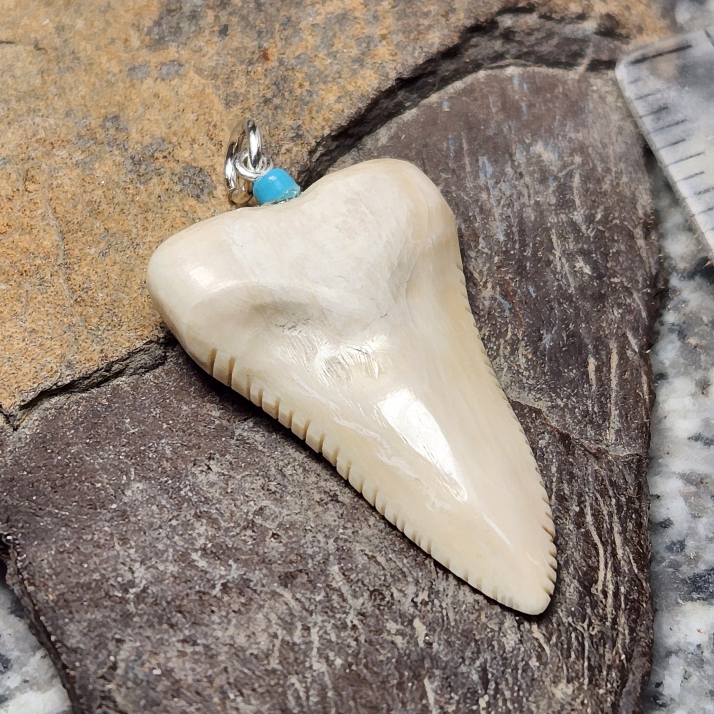 Woolly Mammoth Fossil Ivory Sharks Tooth Pendant