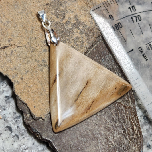 Woolly Mammoth Fossil Ivory Trillon Pendant 1-1/2"
